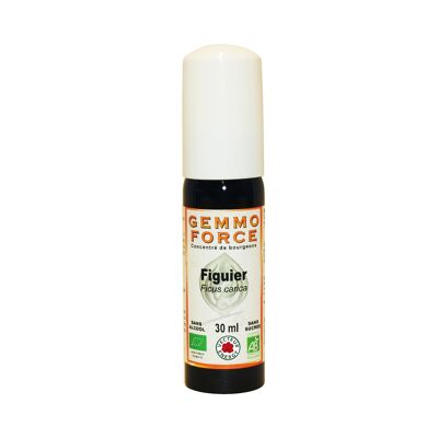 Gemmoforce Fig Tree* 30 ml spray