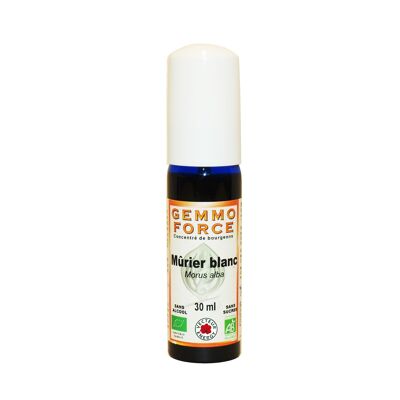 Gemmoforce White mulberry* 30 ml spray