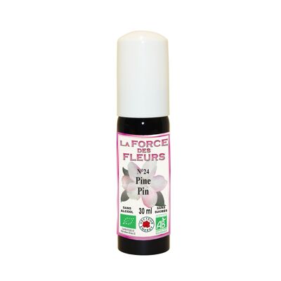 The strength of flowers N24 Pine/Pine* 30ml Spray - NF
