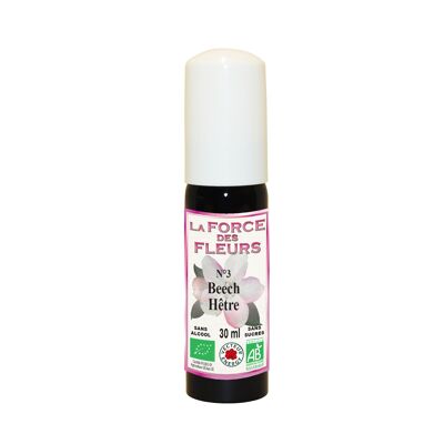 The strength of flowers N3 Beech* 30ml Spray - NF