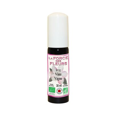The strength of flowers N32 Vine/Vine* 30ml Spray