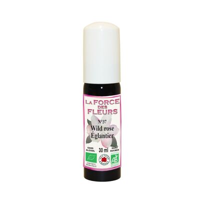 The strength of flowers N37 Rosehip/Wild rose* 30ml Spray - NF