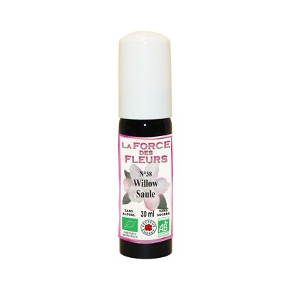 The strength of flowers N38 Willow* 30ml Spray