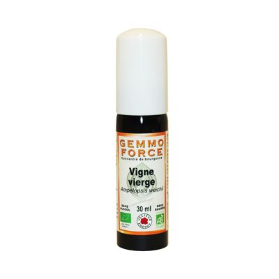 Gemmoforce Virginia creeper* 30 ml spray