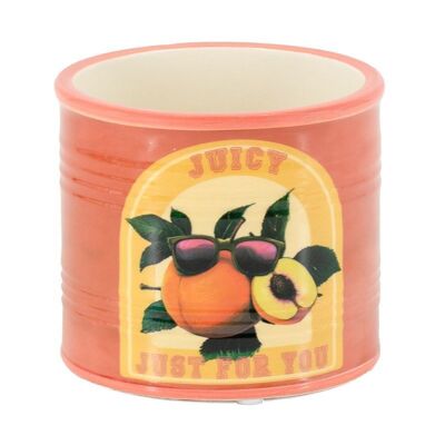 Flower pot peach