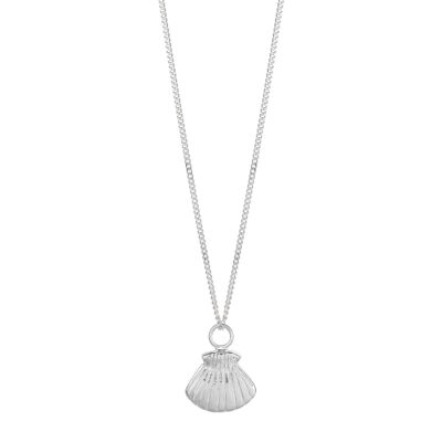Collar de conchas marinas de plata