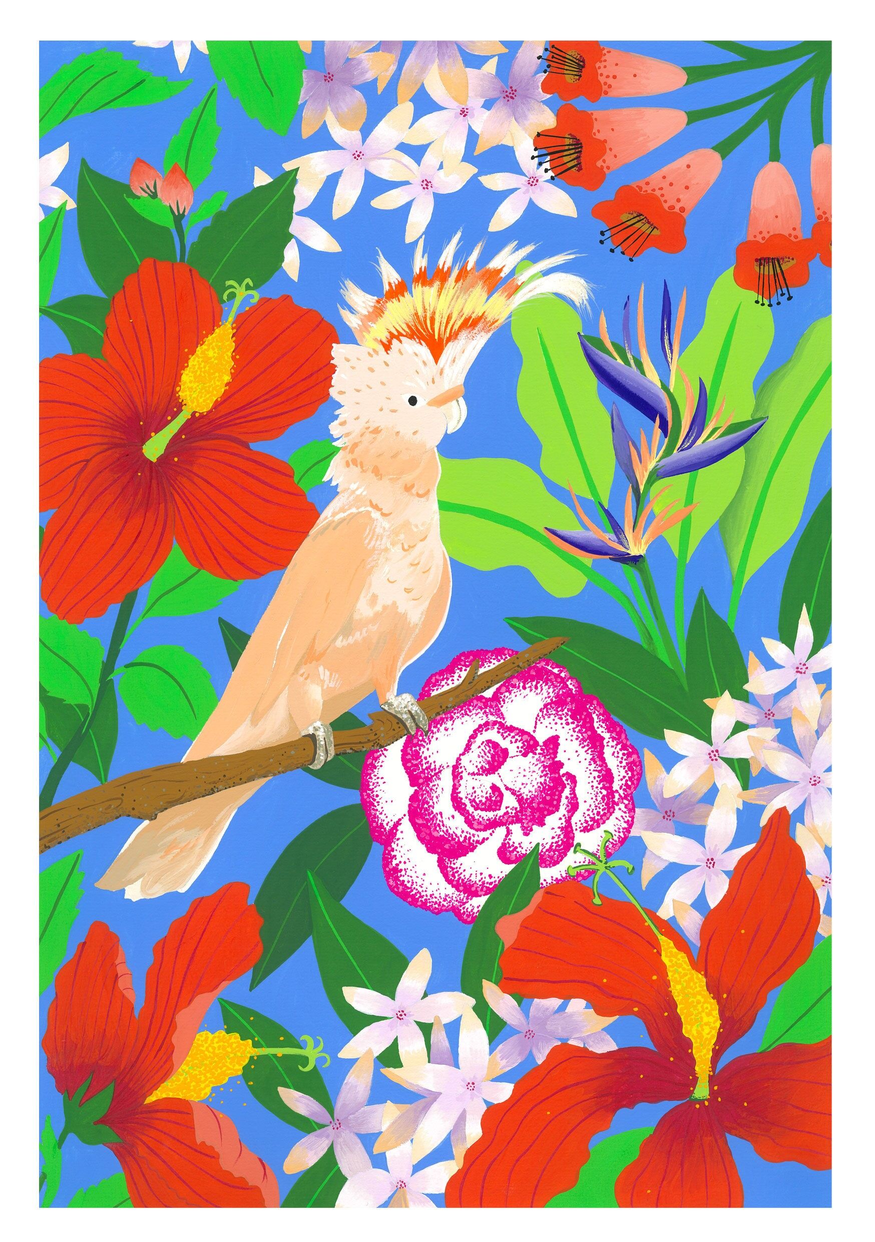 A4 Poster - Der Kakadu