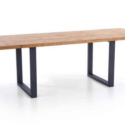 Lapanouse Extendable Dining Table Wood Color