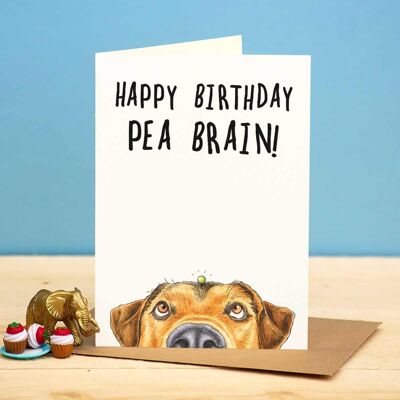 Biglietto di auguri di compleanno "Pea Brain" - Biglietto di auguri di compleanno - Divertente