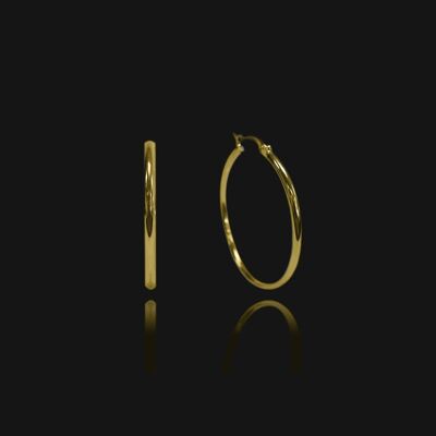 Venice Small Hoop Earrings - Gold