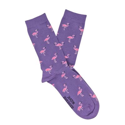 Flamants roses