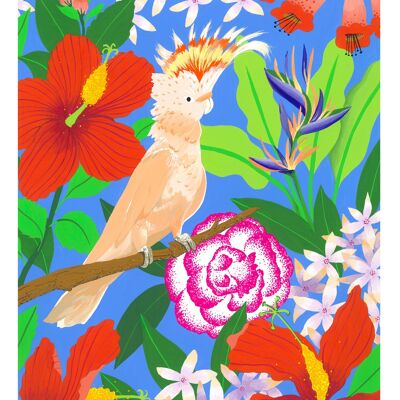 Carte postale recyclée - Le cacatoes