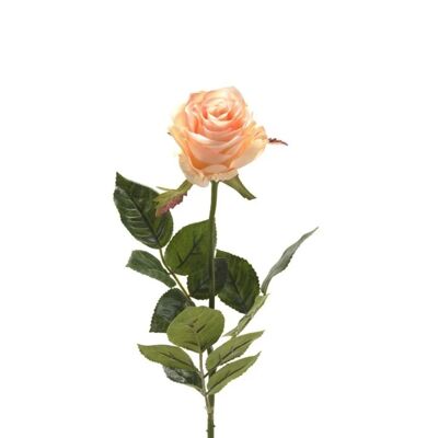 Rosa simone Artificial 73cm Melocotón
