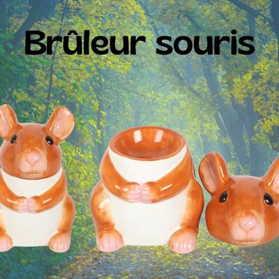 Mouse-shaped burner