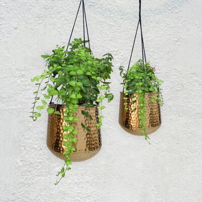 Jardinières suspendues en laiton – Finition martelée