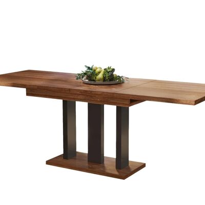 Amplificateur Uitschuifbare Eettafel Stirling propre avec poten mat