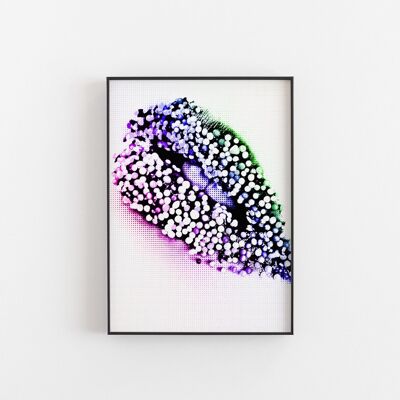 Sugar Lips - Wall Art Print-A3