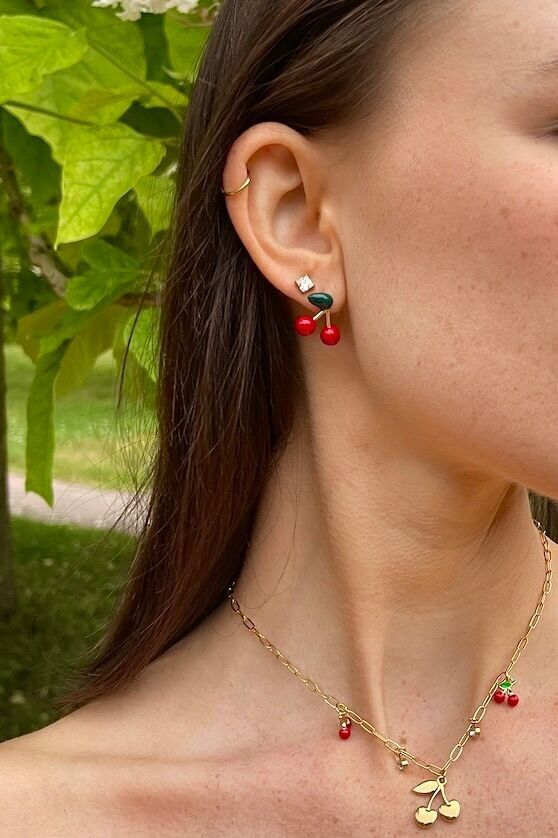 Orecchini in acciaio inossidabile 124AQ418