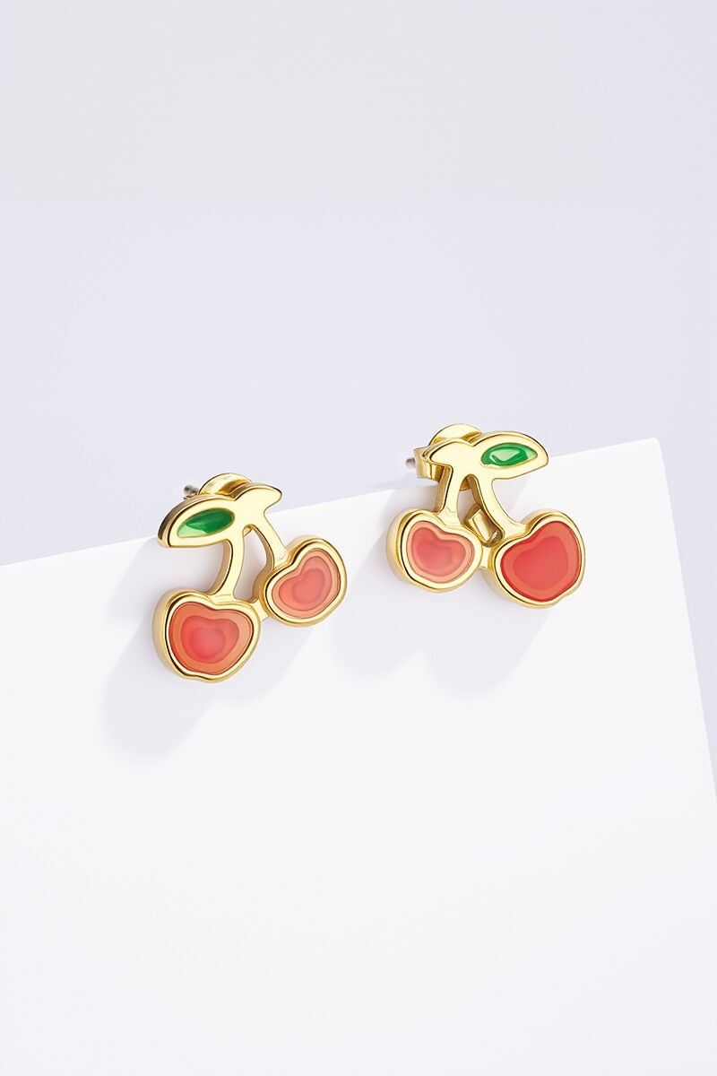 Orecchini in acciaio inossidabile 124AQ421