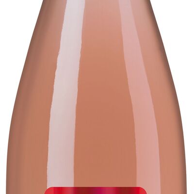 Vino rosato 2024 D.La Ribera del Duero | Tamaral