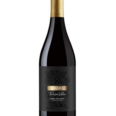 Vin Rouge Finca Velia 2020 D.La Ribera du Duero | Tamaral