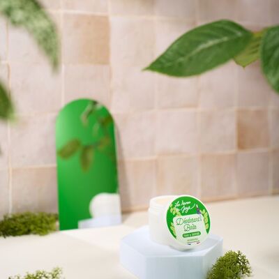 Deodorant Box - Fresh/Wild