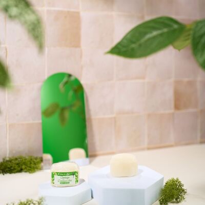 Mini Stick Deodorant Refill - Fresh/Wild