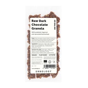 Snack granola biologique aux noix tigrées et chocolat noir