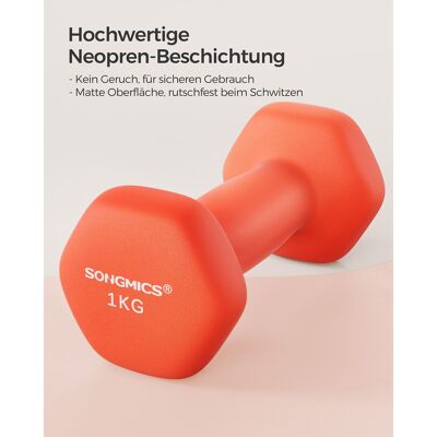 Dumbbells set of 2 orange