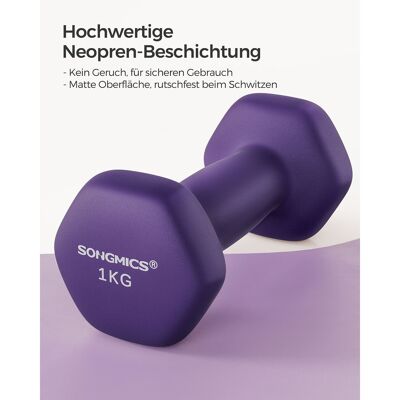 Dumbbells set of 2 purple