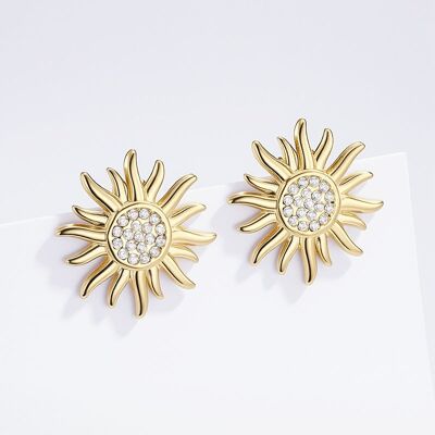 Stainless Steel Earrings 124AQ407
