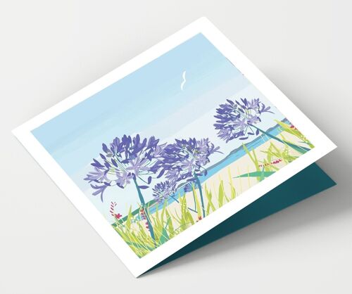 Scilly Isles and Agapanthus - Pack of 4 Cards