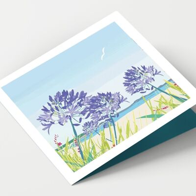 Scilly Isles y Agapanthus - Paquete de 4 tarjetas