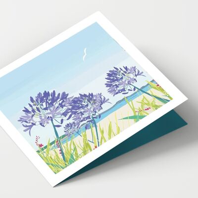 Scilly Isles y Agapanthus - Paquete de 4 tarjetas
