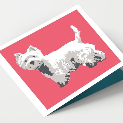 West Highland Terrier - Paquete de 4 tarjetas