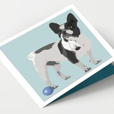 Französische Bulldogge - Packung mit 4 Karten