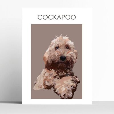 Cockapoo - A2 - encadré