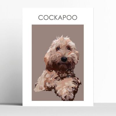 Cockapoo - A4 - framed