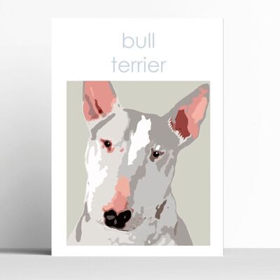 Impresión de Bull Terrier - A4 - enmarcado