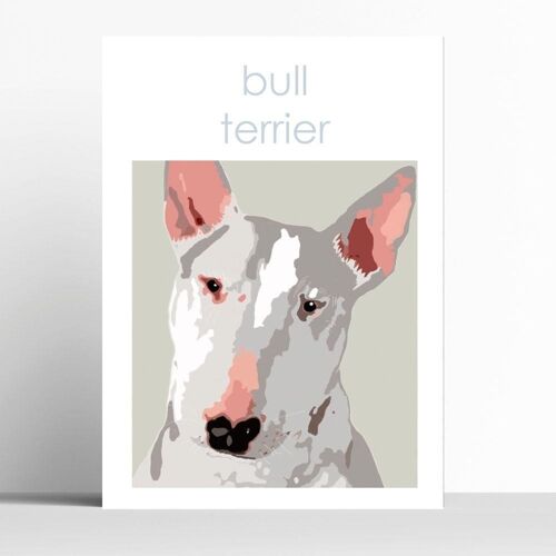 Bull Terrier Print - A5 - framed