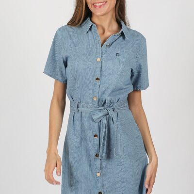 Blue Imari Dress