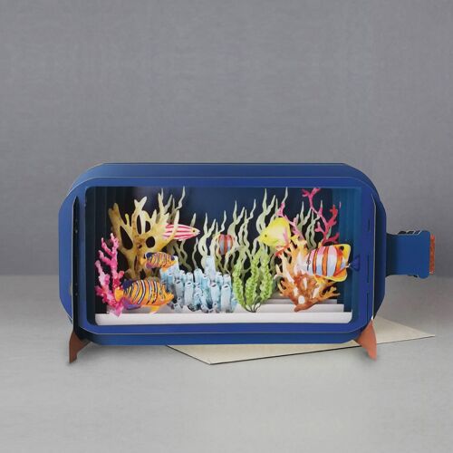 Message in a bottle pop up card - coral reef