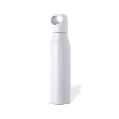 Stainless steel bottle DM1795 matte 600 ml