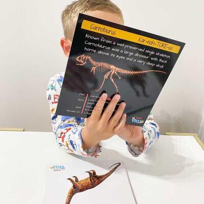 Dinosaurios: de carne a huesos (edición de coleccionista) + obsequios