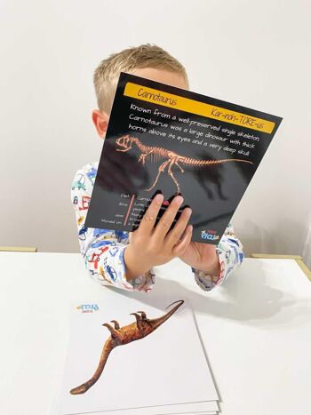 Dinosaures - De la chair aux os (Édition Collector) + Cadeaux 1