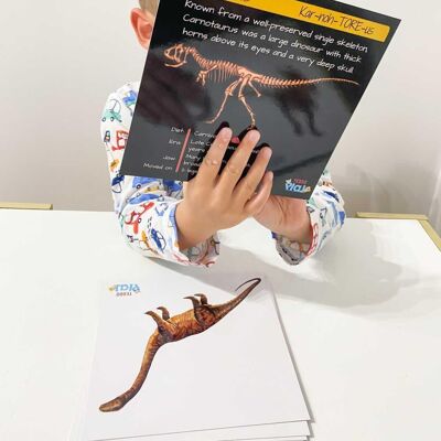 Dinosaurier - Vom Fleisch zum Knochen (Collector's Edition) + Freebies