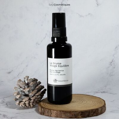 Balancing Face Mist (50ml) - Pack of 4