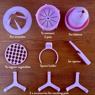 9 in 1 Kitchen and Regrowing Kit, Perfect for Zero Waste, Education and Urban Gardening, Montessori, in your own kitchen, Mason jar