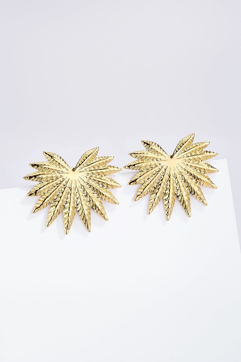 Orecchini in acciaio inossidabile 124AQ413