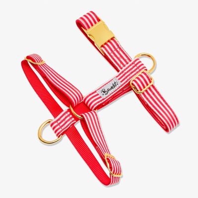 Red and white striped cat harness